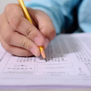 boy man people person male adult portrait young hand fill circle exam educate pencil filed picture images sheet paper notes table desk wooden exam exam exam exam exam