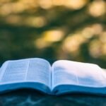 book, pages, open book, read, reading, knowledge, education, leisure, hobby, bookworm, chapters, literature, open, outdoors, research, study, book, book, book, book, book, open book, education, study